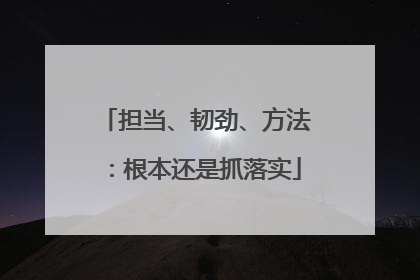 担当、韧劲、方法：根本还是抓落实