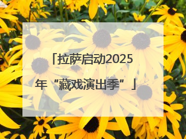 拉萨启动2025年“藏戏演出季”