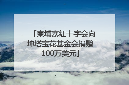柬埔寨红十字会向坤塔宝花基金会捐赠100万美元