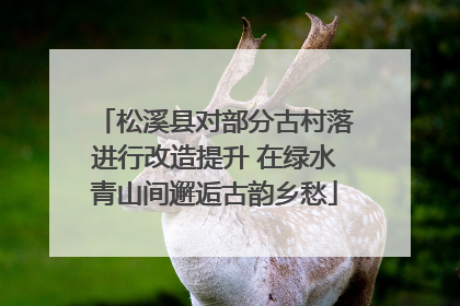松溪县对部分古村落进行改造提升 在绿水青山间邂逅古韵乡愁