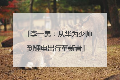 李一男：从华为少帅到锂电出行革新者