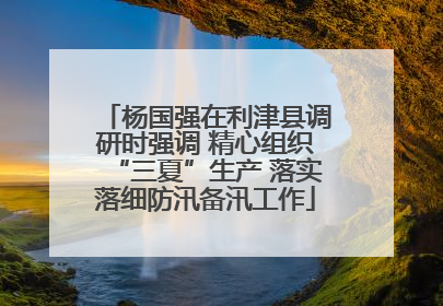 杨国强在利津县调研时强调 精心组织“三夏”生产 落实落细防汛备汛工作