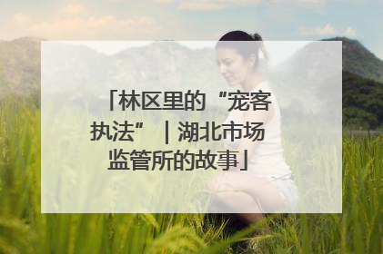 林区里的“宠客执法”｜湖北市场监管所的故事
