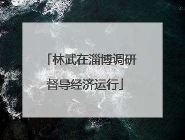 林武在淄博调研督导经济运行