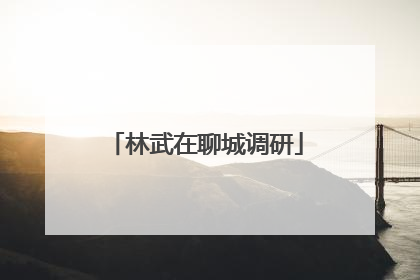 林武在聊城调研