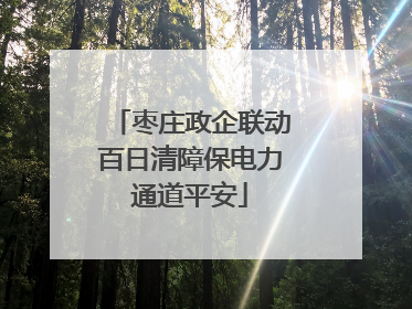 枣庄政企联动百日清障保电力通道平安
