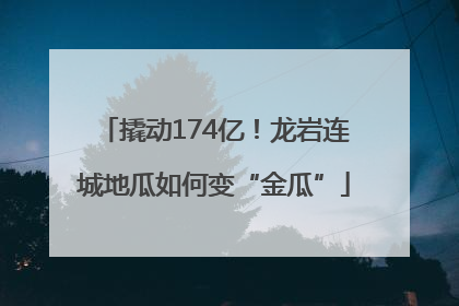 撬动174亿！龙岩连城地瓜如何变“金瓜”