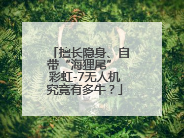 擅长隐身、自带“海狸尾” 彩虹-7无人机究竟有多牛？