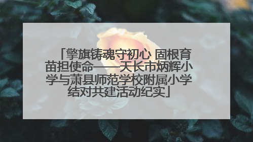 擎旗铸魂守初心 固根育苗担使命——天长市炳辉小学与萧县师范学校附属小学结对共建活动纪实