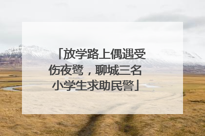 放学路上偶遇受伤夜鹭，聊城三名小学生求助民警