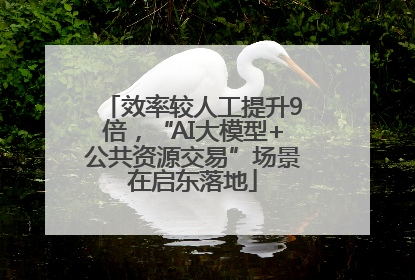 效率较人工提升9倍，“AI大模型+公共资源交易”场景在启东落地