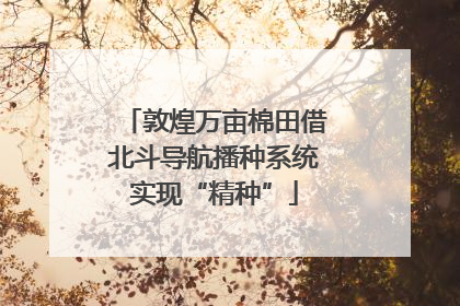 敦煌万亩棉田借北斗导航播种系统实现“精种”