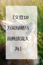 文登10万尾绿鳍马面鲀放流大海