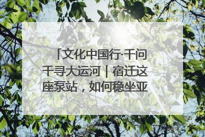 文化中国行·千问千寻大运河｜宿迁这座泵站，如何稳坐亚洲第一宝座？