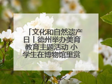 文化和自然遗产日丨德州举办美育教育主题活动 小学生在博物馆里赏文物画文物
