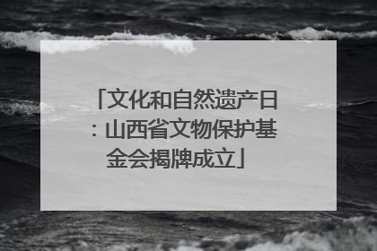 文化和自然遗产日：山西省文物保护基金会揭牌成立