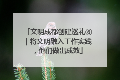 文明成都创建巡礼⑥｜将文明融入工作实践，他们做出成效