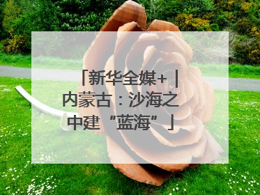 新华全媒+｜内蒙古：沙海之中建“蓝海”