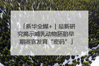 新华全媒+｜最新研究揭示哺乳动物胚胎早期器官发育“密码”