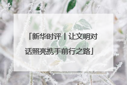 新华时评丨让文明对话照亮携手前行之路