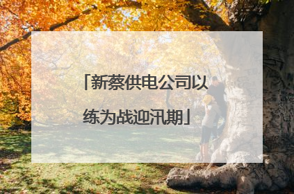 新蔡供电公司以练为战迎汛期