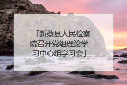 新蔡县人民检察院召开党组理论学习中心组学习会