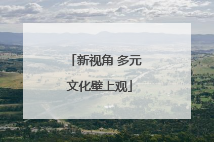 新视角 多元文化壁上观