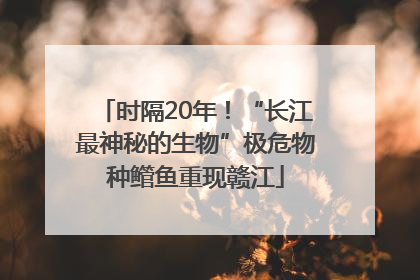 时隔20年！“长江最神秘的生物”极危物种鳤鱼重现赣江