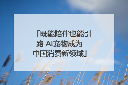 既能陪伴也能引路 AI宠物成为中国消费新领域