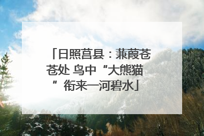 日照莒县：蒹葭苍苍处 鸟中“大熊猫”衔来一河碧水