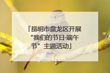 昆明市盘龙区开展“我们的节日·端午节”主题活动