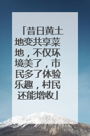 昔日黄土地变共享菜地，不仅环境美了，市民多了体验乐趣，村民还能增收