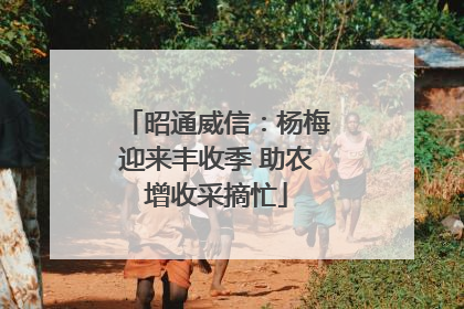 昭通威信：杨梅迎来丰收季 助农增收采摘忙