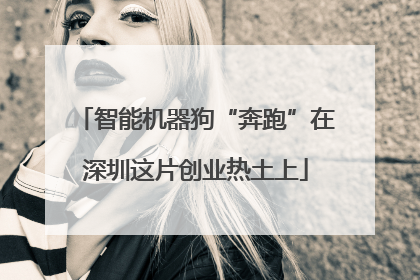 智能机器狗“奔跑”在深圳这片创业热土上