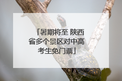 暑期将至 陕西省多个景区对中高考生免门票
