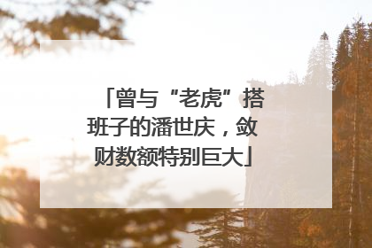 曾与“老虎”搭班子的潘世庆，敛财数额特别巨大