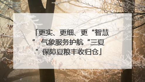 更实、更细、更“智慧” 气象服务护航“三夏”保障夏粮丰收归仓