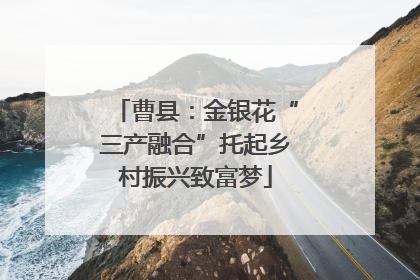 曹县：金银花“三产融合”托起乡村振兴致富梦