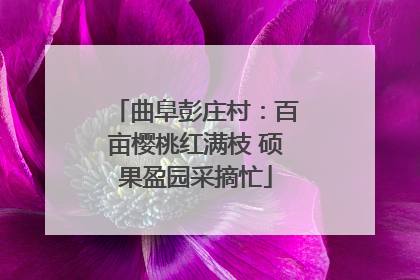 曲阜彭庄村：百亩樱桃红满枝 硕果盈园采摘忙