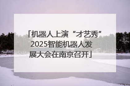 机器人上演“才艺秀” 2025智能机器人发展大会在南京召开