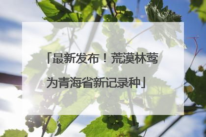 最新发布！荒漠林莺为青海省新记录种