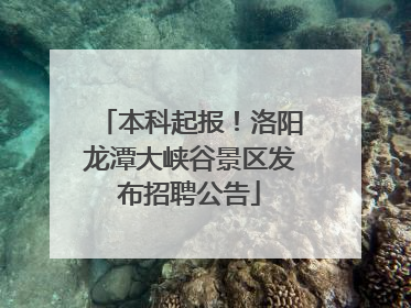 本科起报！洛阳龙潭大峡谷景区发布招聘公告