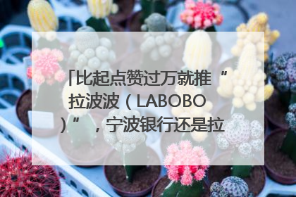 比起点赞过万就推“拉波波（LABOBO）”，宁波银行还是拉业绩吧｜财经辣评