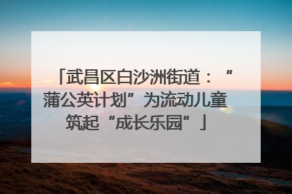 武昌区白沙洲街道：“蒲公英计划”为流动儿童筑起“成长乐园”