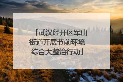 武汉经开区军山街道开展节前环境综合大整治行动