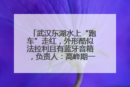 武汉东湖水上“跑车”走红，外形酷似法拉利且有蓝牙音箱，负责人：高峰期一两百人排队