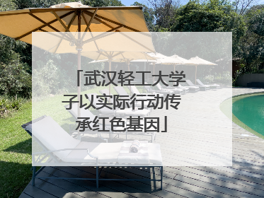 武汉轻工大学子以实际行动传承红色基因