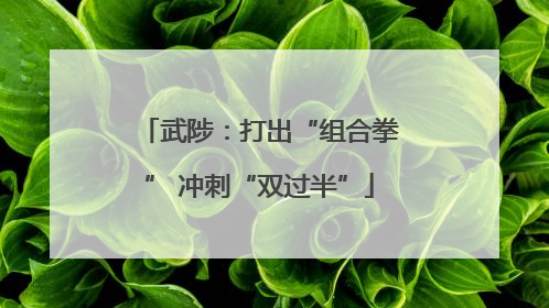 武陟：打出“组合拳” 冲刺“双过半”