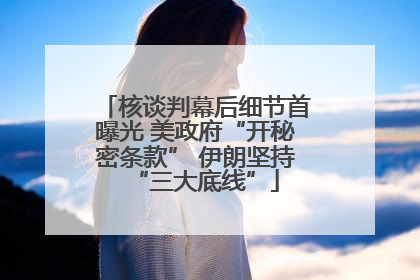 核谈判幕后细节首曝光 美政府“开秘密条款” 伊朗坚持“三大底线”
