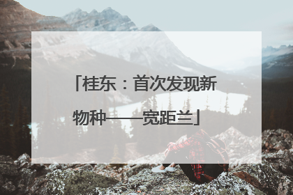 桂东：首次发现新物种——宽距兰